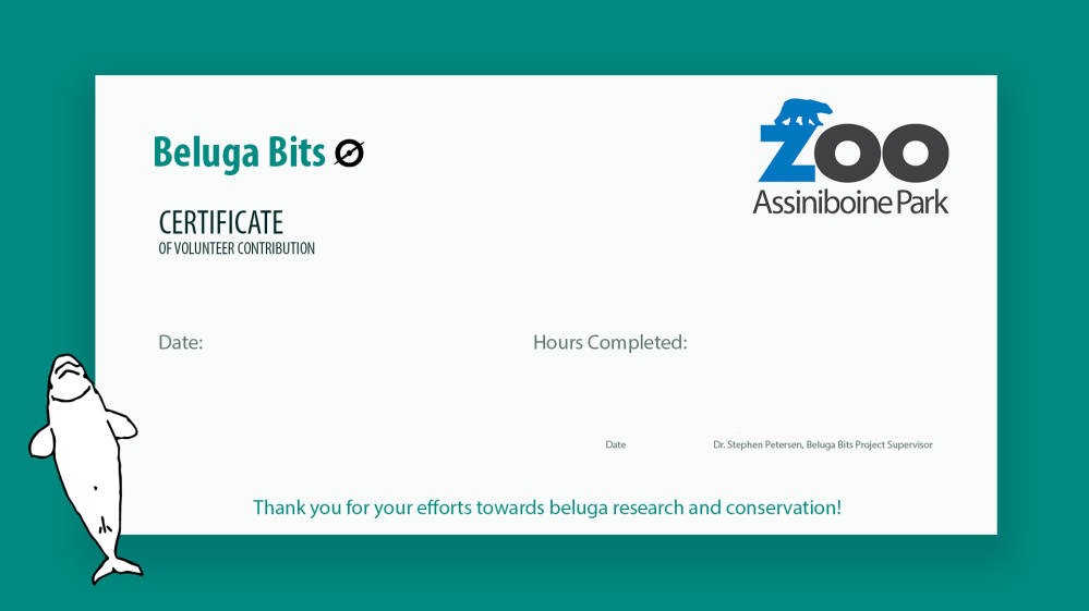 Certificate of completed volunteer hours_unsigned.png