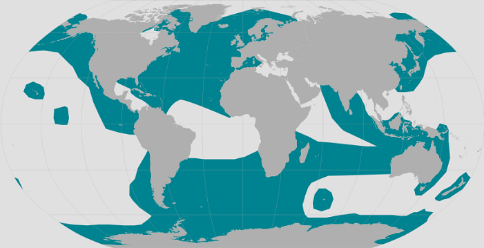 Education | Killer Whale Count | Zooniverse - People-powered research