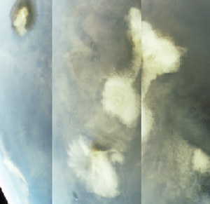 Caps-Disks small.png