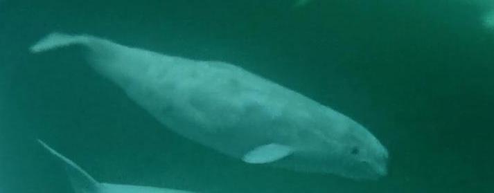 f2100331-e1a9-4f35-b926-412f950d0c7e - Copy.jpeg