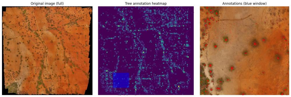 A plot showing the results from the project. Left is an aerial image in Tanzania, orange. Middle shows where trees were detected, right shows a zoomed-in plot