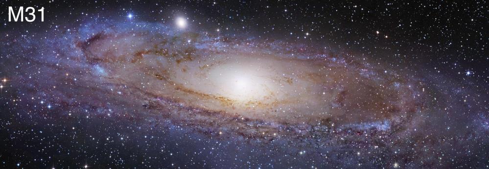 lggals_m31.jpeg