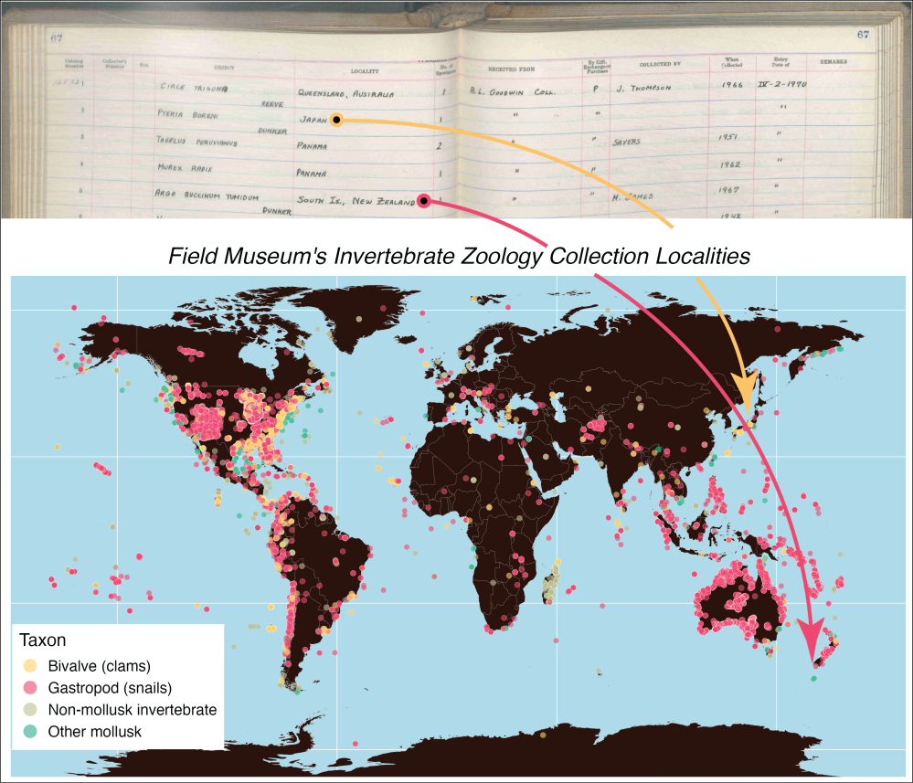 Research | Snail Scribe Archive | Zooniverse - People-powered research